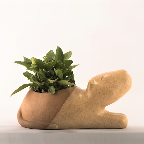 Capybara Planter