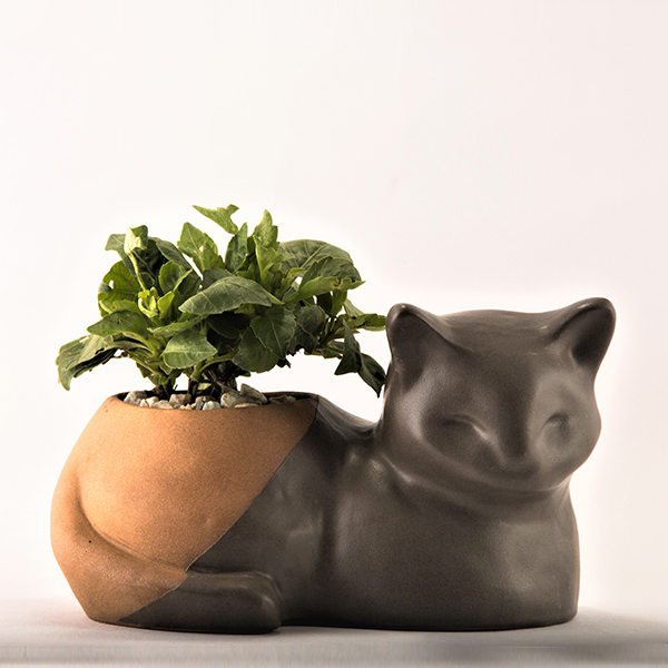 Cat Planter