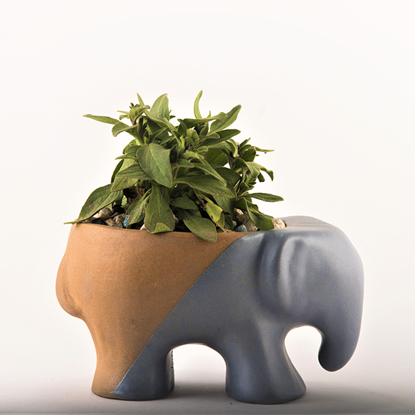 Elephant Planter